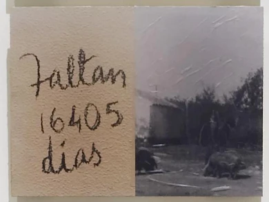 AD00414-003