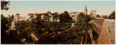 AD03657