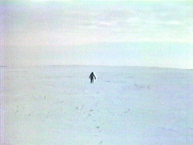 AD04489 viola.chott1