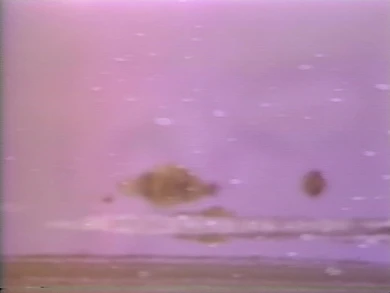 AD04489 viola.chott2