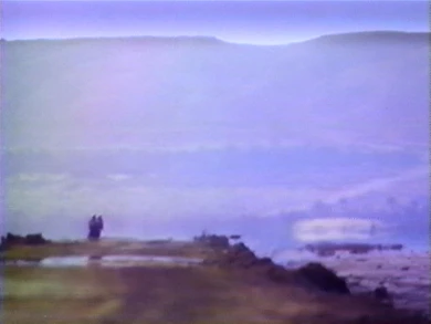 AD04489 viola.chott3