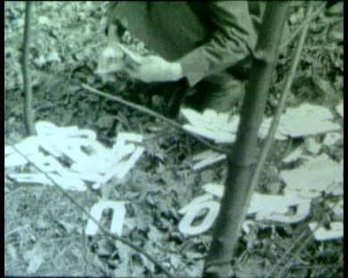 AD04655-Ewa Partum_poems1