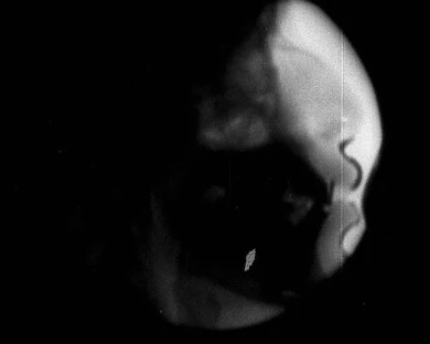 AD05338_001