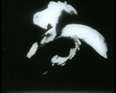 AD05352_001