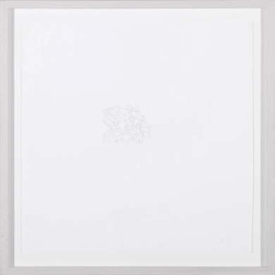 AD06542-005