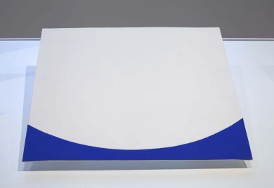 AD06985-003