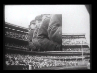 PANELS FOR THE WALLS