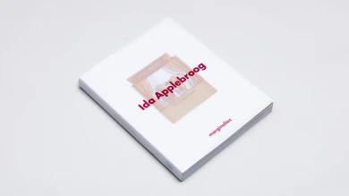 Ida Applebroog. Marginalias