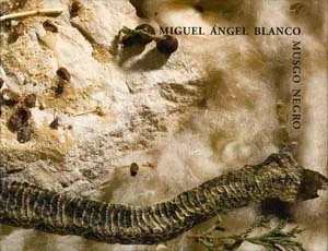 Miguel Ángel Blanco. Musgo negro