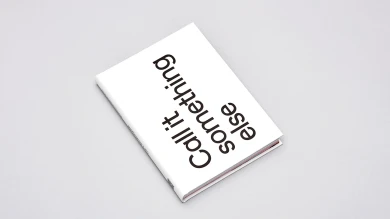 Cubierta de la publicación Call It Something Else