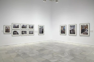 Vista de sala de la exposición. Formas biográficas, 2014