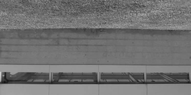 Tomás Gris. un 4. 2017