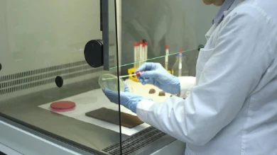 Objet surréaliste de Salvador Dalí. Estudio y restauración de la obra