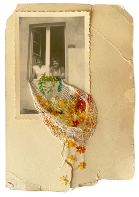 Lorena Olmedo, Margaritas en mi ventana, 2024