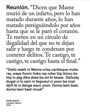 Portada del libro Reunión: Mame Mbaye, de Dani Zelko, Madrid, 2023