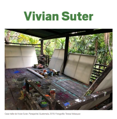 Hoja de sala: Vivian Suter