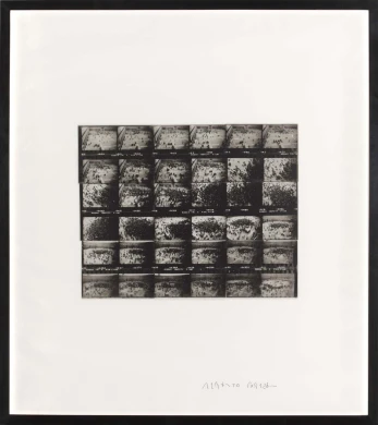 AD05159-005