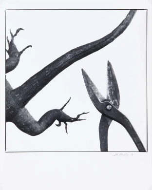 AD05707