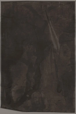 AD06558