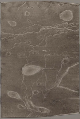 AD06559