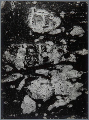 DE01895-02
