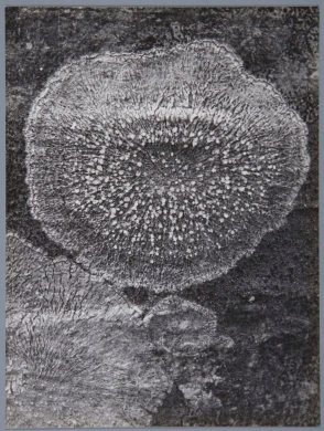 DE01895-05