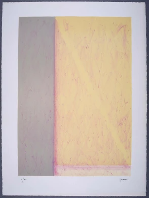 DE02629-003