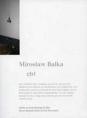 Miroslaw Balka. ctrl