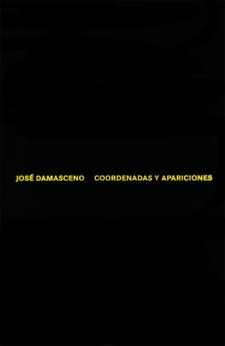 José Damasceno